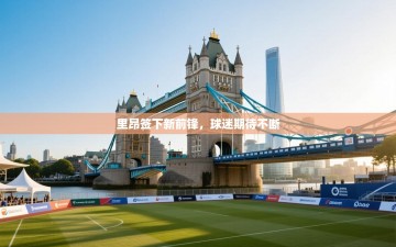 里昂签下新前锋，球迷期待不断