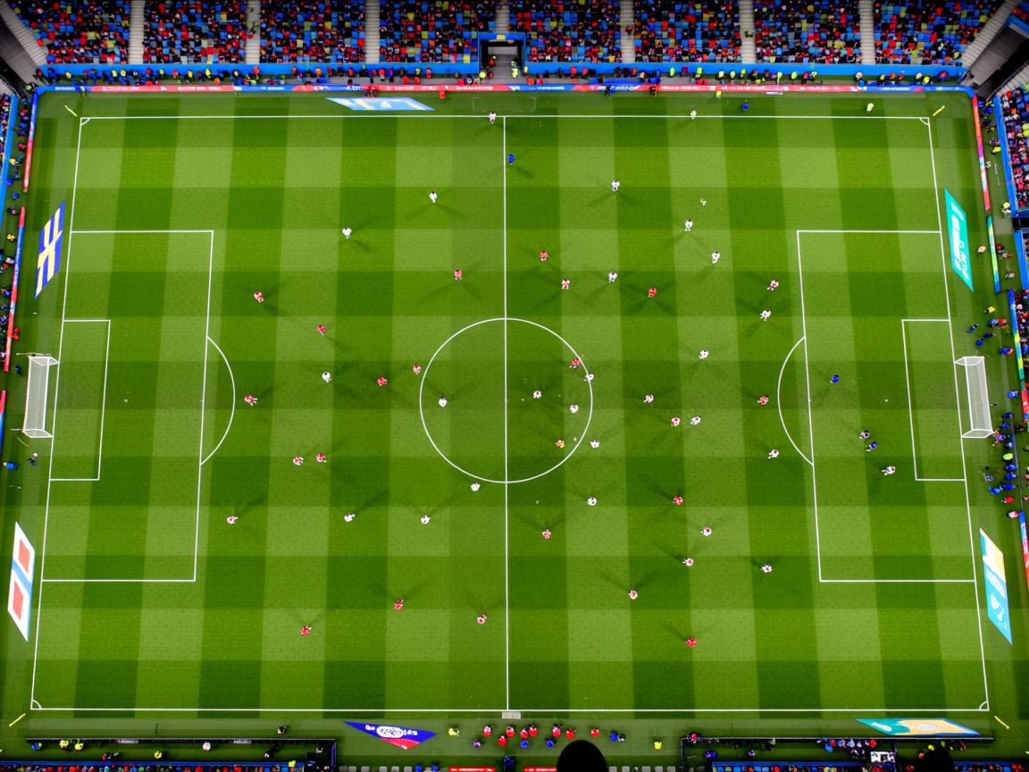 开yun官网-中美澳德蝶泳节奏变化趋势同步对比，蝶泳奥运会比赛视频  第2张