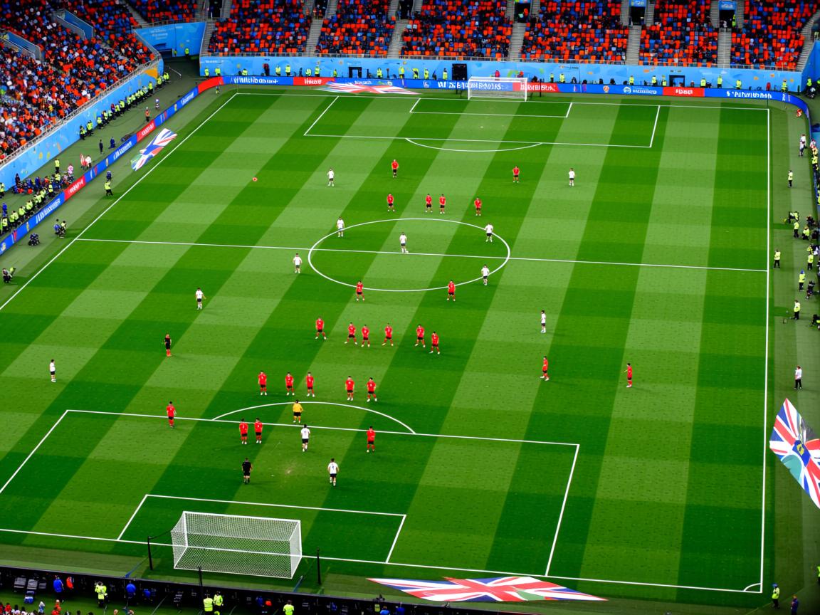 开云体育官网上-志愿者就位+AI服务上线，体验感拉满！，志愿服务指引