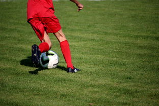 开云体育娱乐-体育新闻中心推进赛事图文实时发布系统优化,体育新闻赛事报道标题大全 第3张