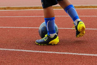 开云体育在线登入-校园足球缺乏横向联赛结构支撑，我国校园足球训练存在的问题  第3张